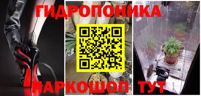 крисы Малоярославец