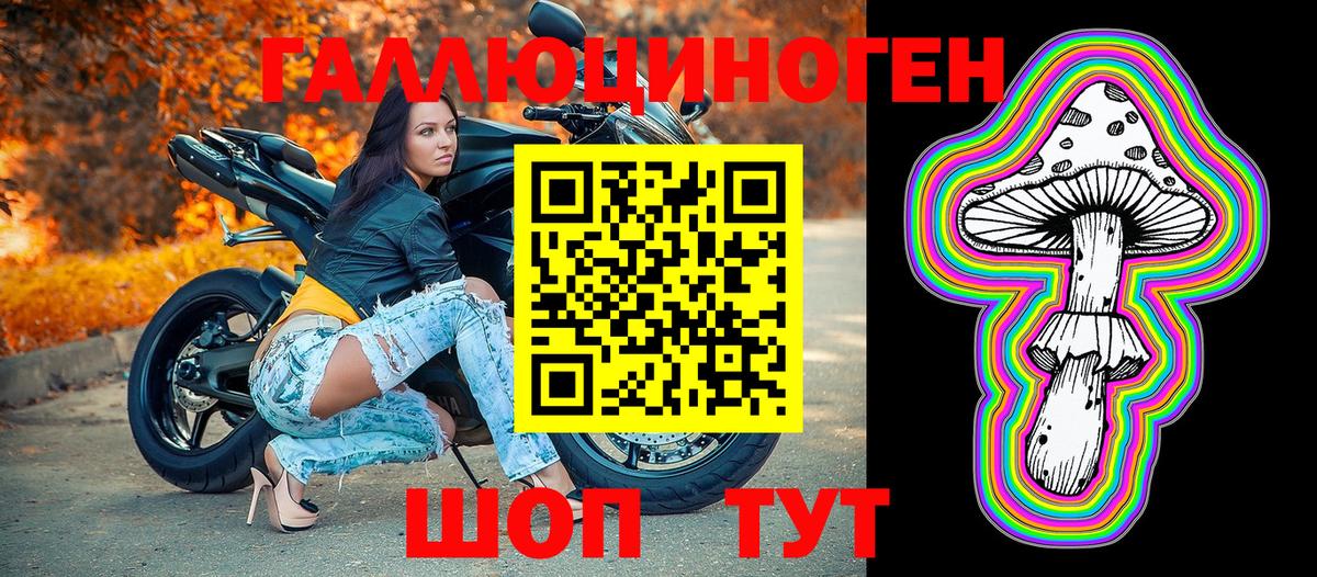 Псилоцибиновые грибы Psilocybe  что такое наркотик  Вход с VPN  Городец  Галлюциногенные грибы Cubensis 